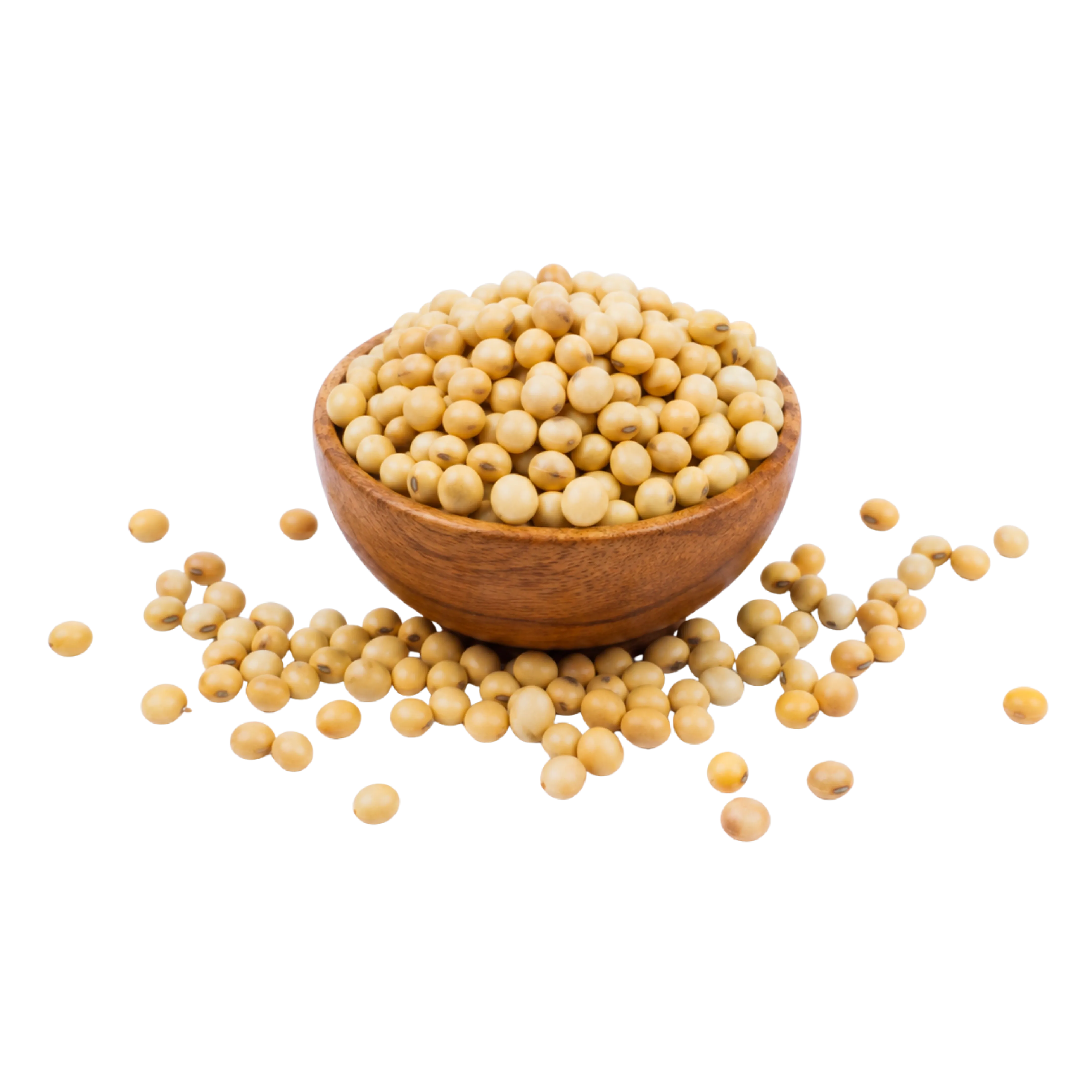 Isolat Protein Kedelai